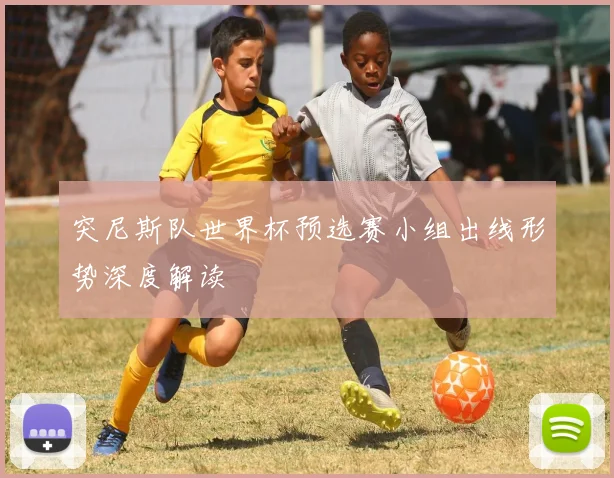 突尼斯队世界杯预选赛小组出线形势深度解读