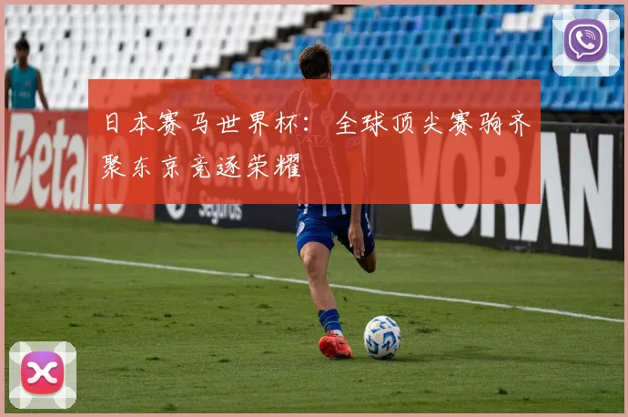 日本赛马世界杯:全球顶尖赛驹齐聚东京竞逐荣耀