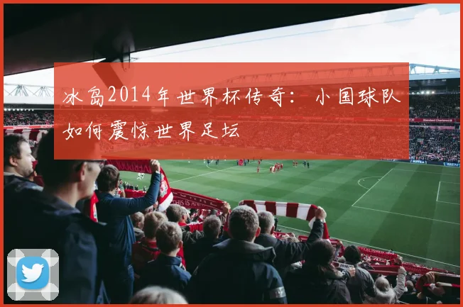 冰岛2014年世界杯传奇：小国球队如何震惊世界足坛