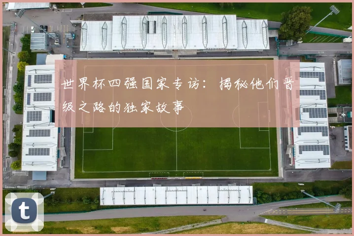 世界杯四强国家专访:揭秘他们晋级之路的独家故事