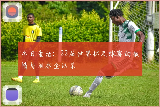 冬日童话：22届世界杯足球赛的激情与泪水全记录