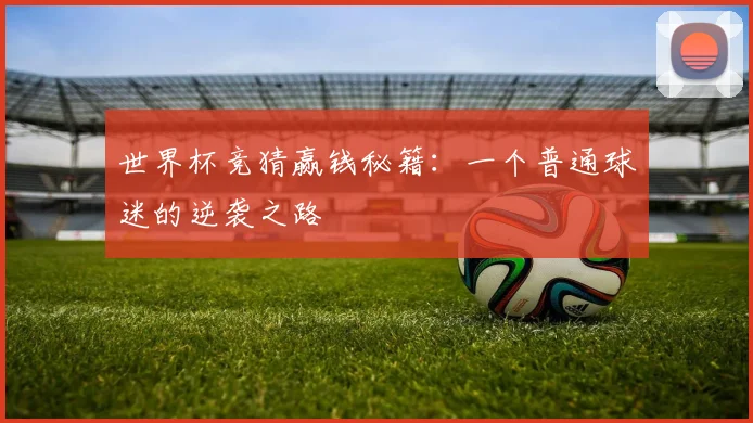 世界杯竞猜赢钱秘籍：一个普通球迷的逆袭之路