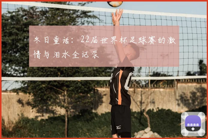冬日童话：22届世界杯足球赛的激情与泪水全记录