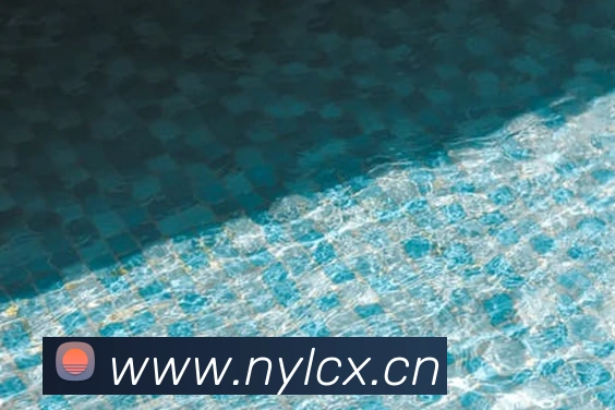 开云app苹果版官网入口APP 封面图